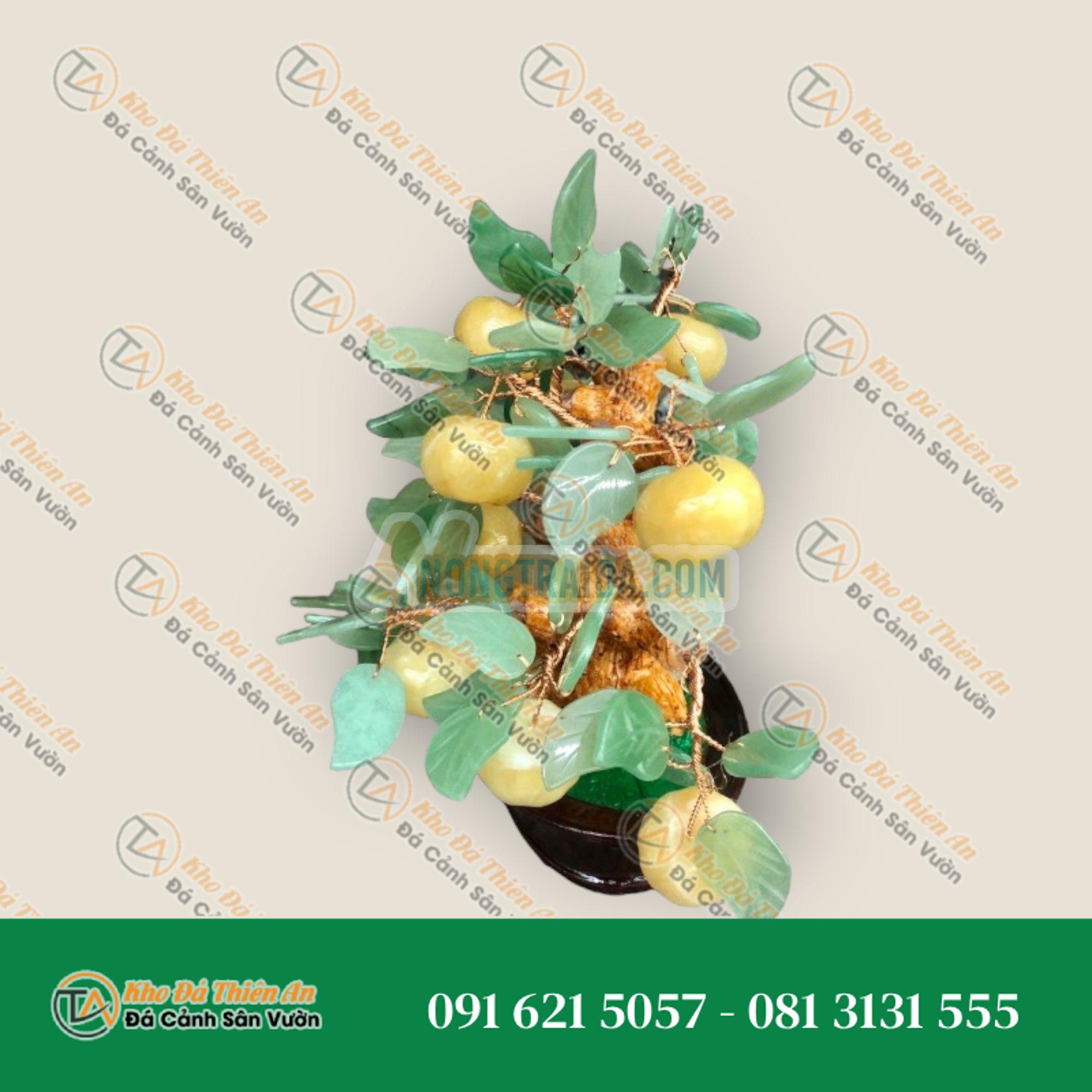 Cây Quất phong thủy đá ngọc hoàng long gồm 13 quả – Cao 23cm