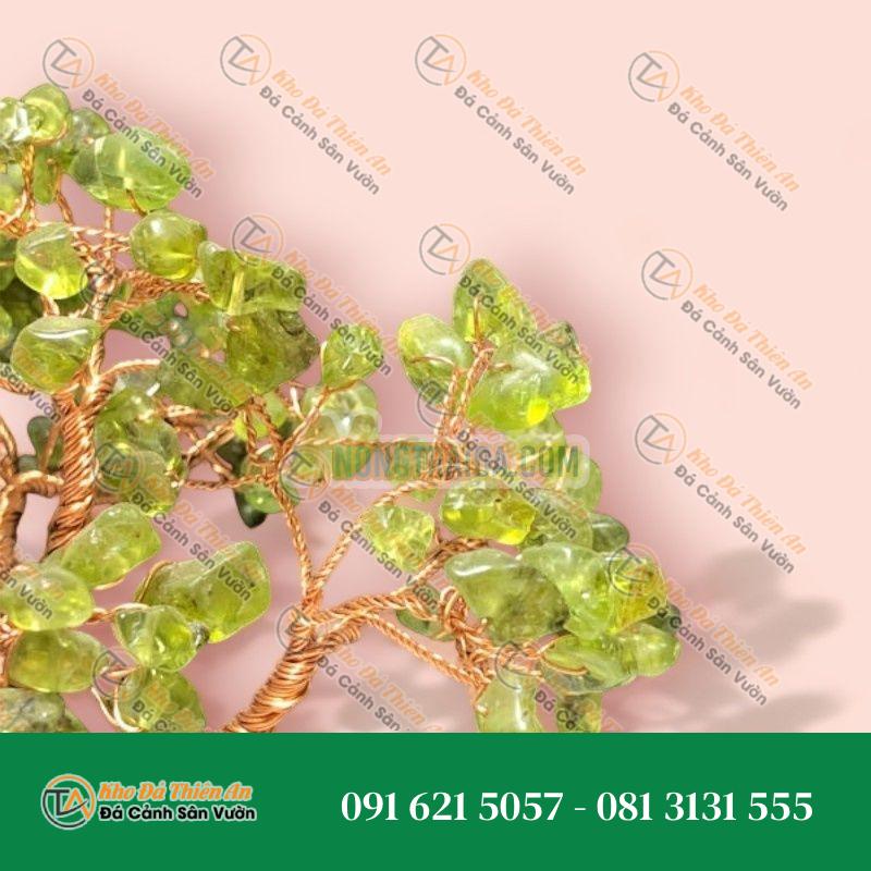 Cây tài lộc 12x10x15