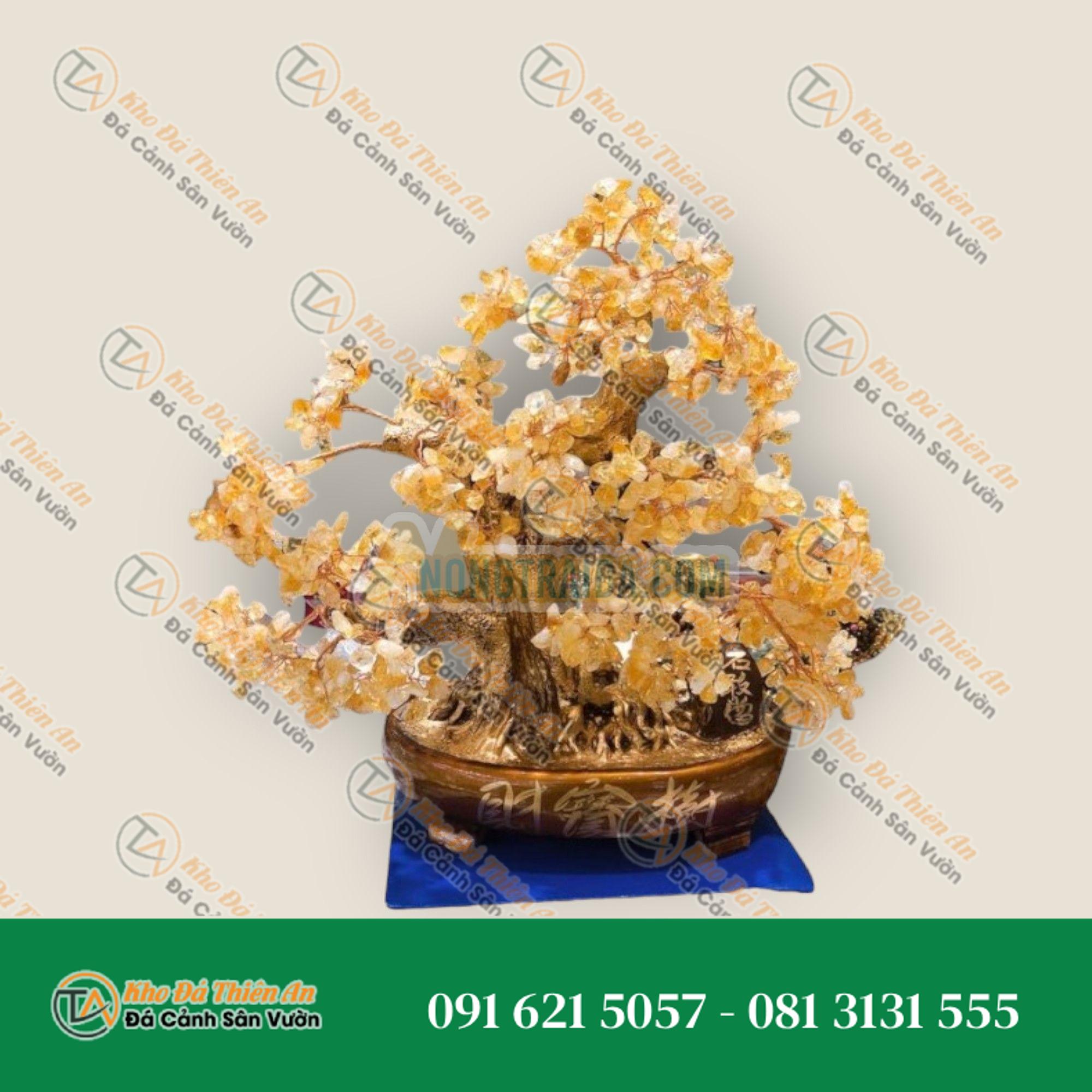 Cây Tài Lộc bonsai phong thủy đá thạch anh vàng – Cao 40cm