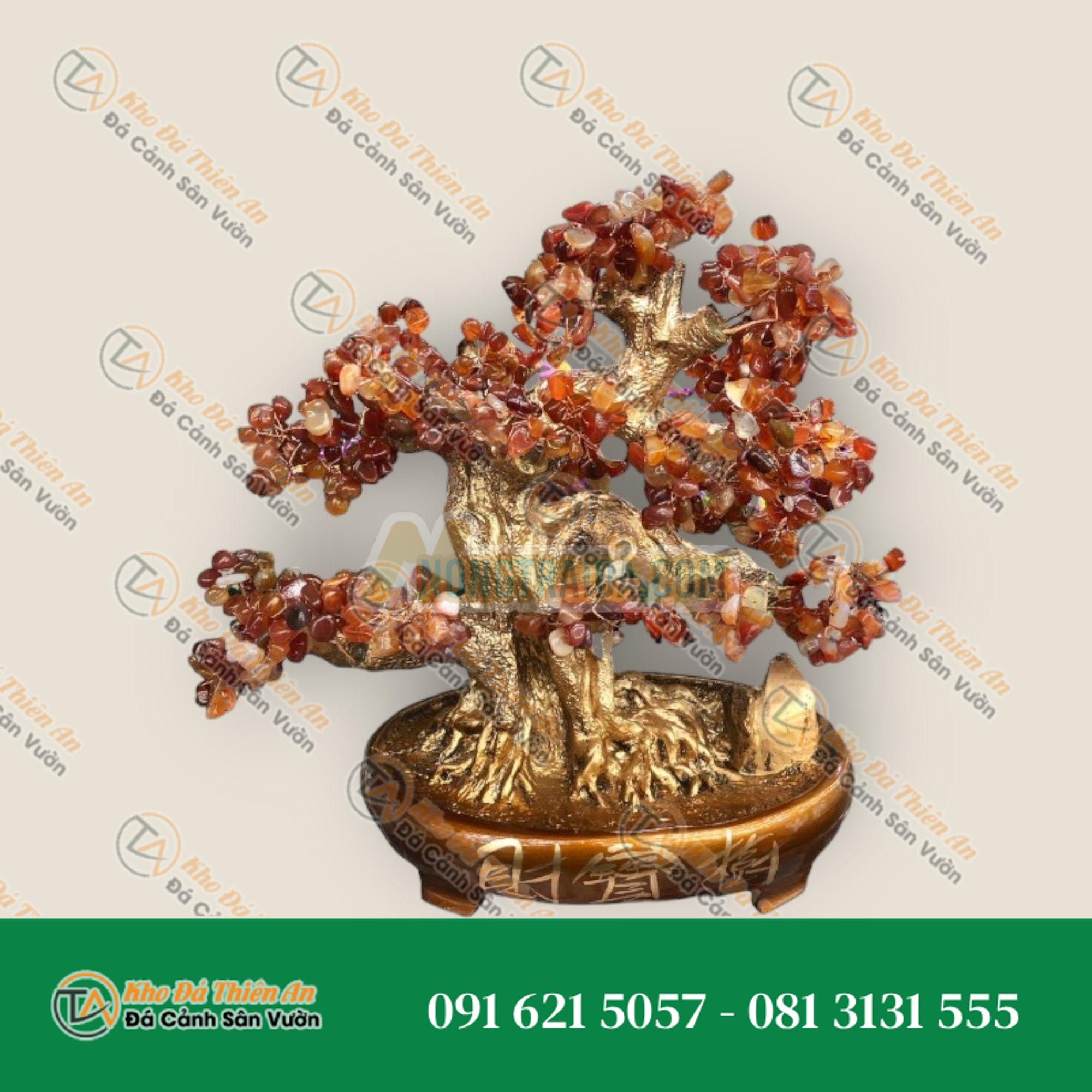 Cây Tài Lộc bonsai phong thủy may mắn tài lộc đá mã não đỏ – Cao 40cm