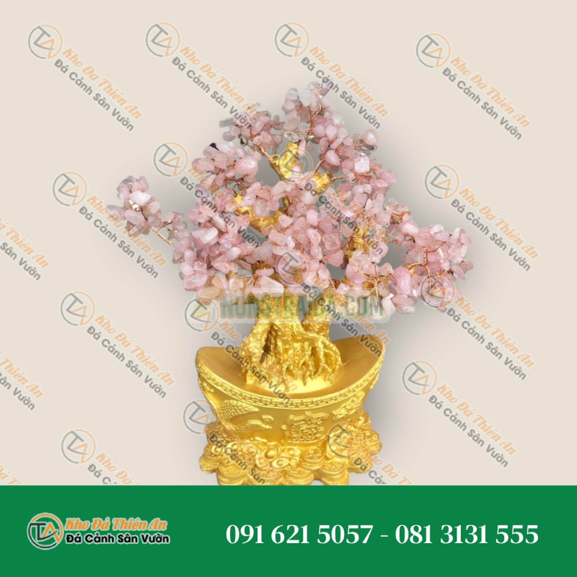 Cây Tài Lộc phong thủy đá thạch anh hồng với đế hình thỏi vàng để bàn làm việc, bàn thờ thần tài – Cao 30cm