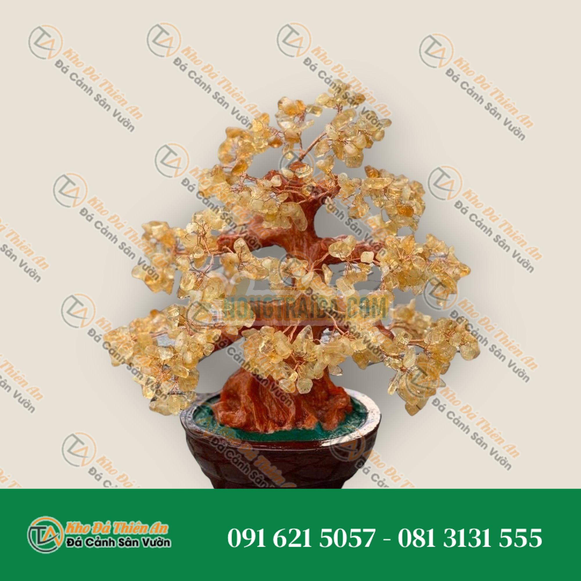 Cây Tài Lộc phong thủy đá thạch anh vàng – Cao 30cm