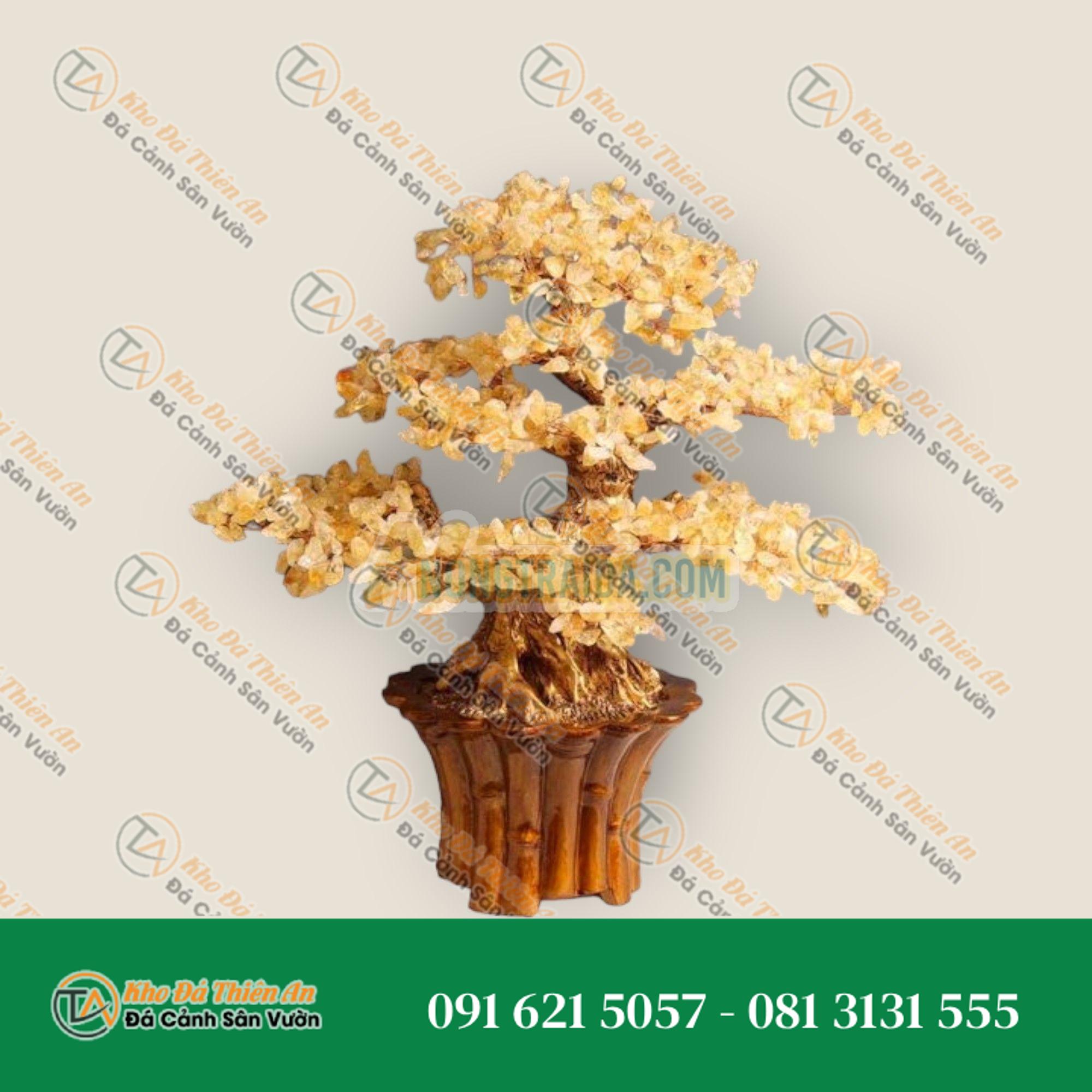Cây Tài Lộc phong thủy đá thạch anh vàng – Cao 45cm