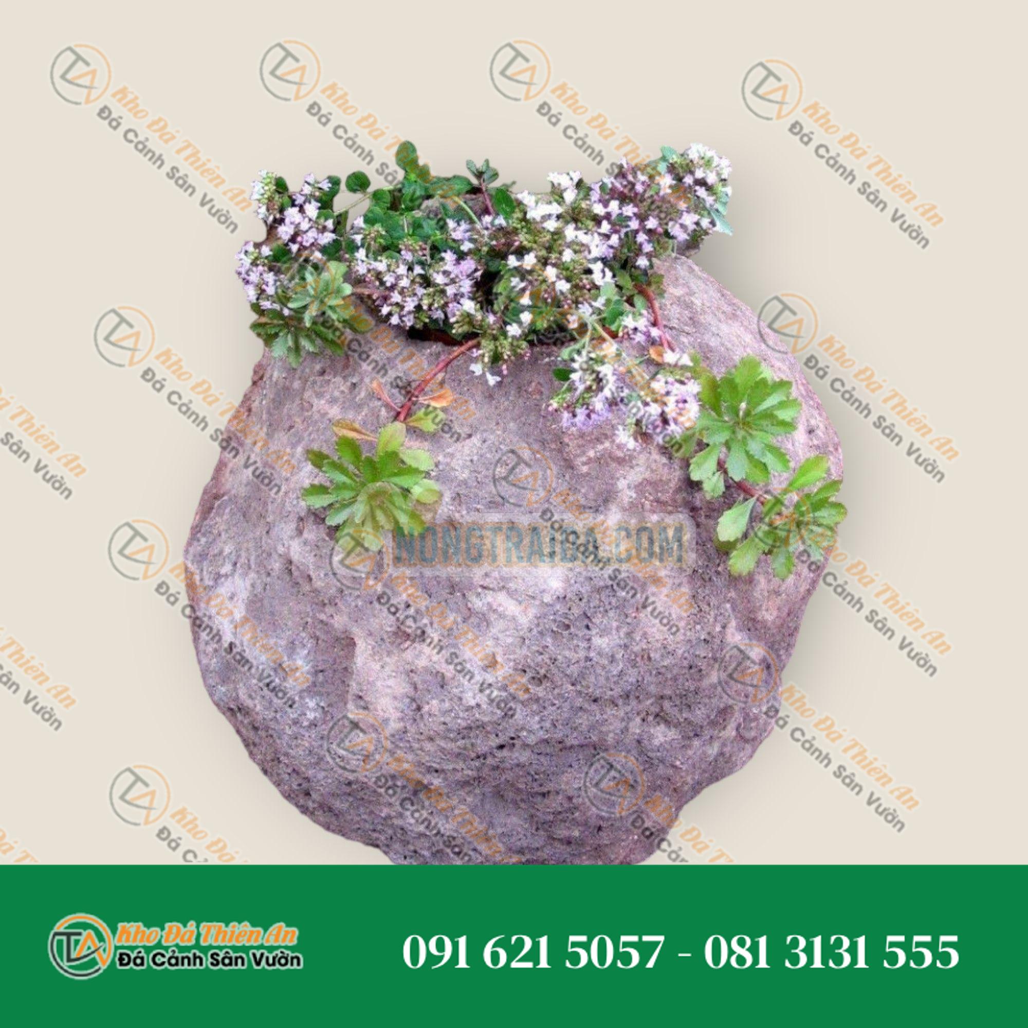 Chậu hoa từ đá nham thạch