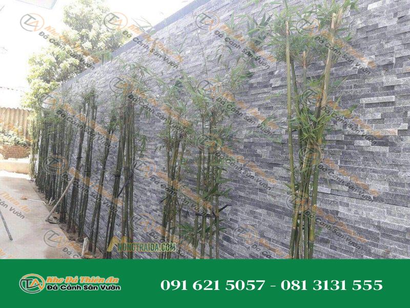 Đá chẻ xám ốp tường rào