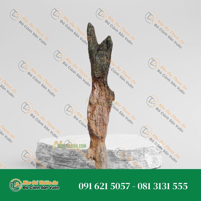 Đá da voi làm tiểu cảnh 57x133cm