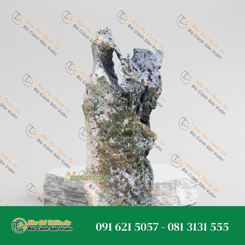 Đá da voi thuỷ sinh 103x107cm