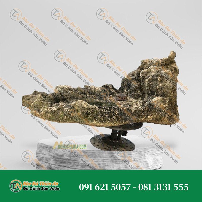 Đá da voi thuỷ sinh 81x46cm