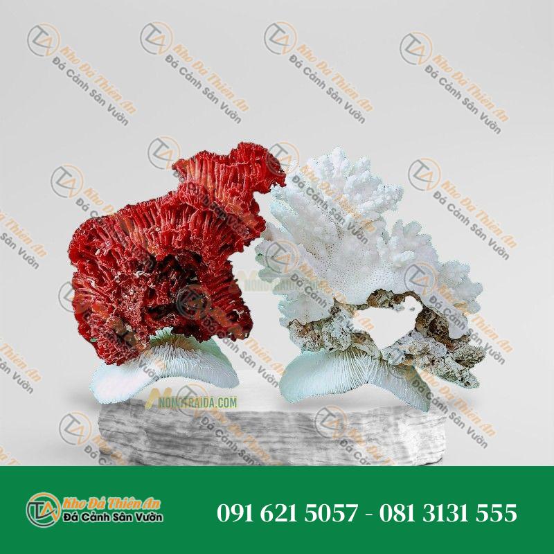 Đá san hô đỏ hoá thạch 30cm