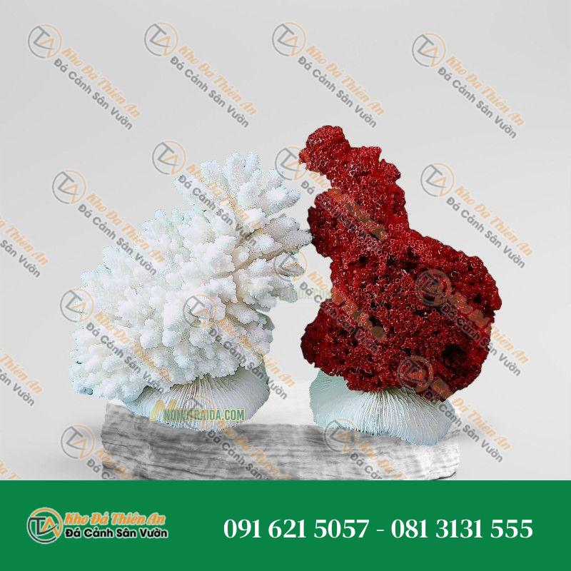 Đá san hô đỏ hoá thạch 33cm