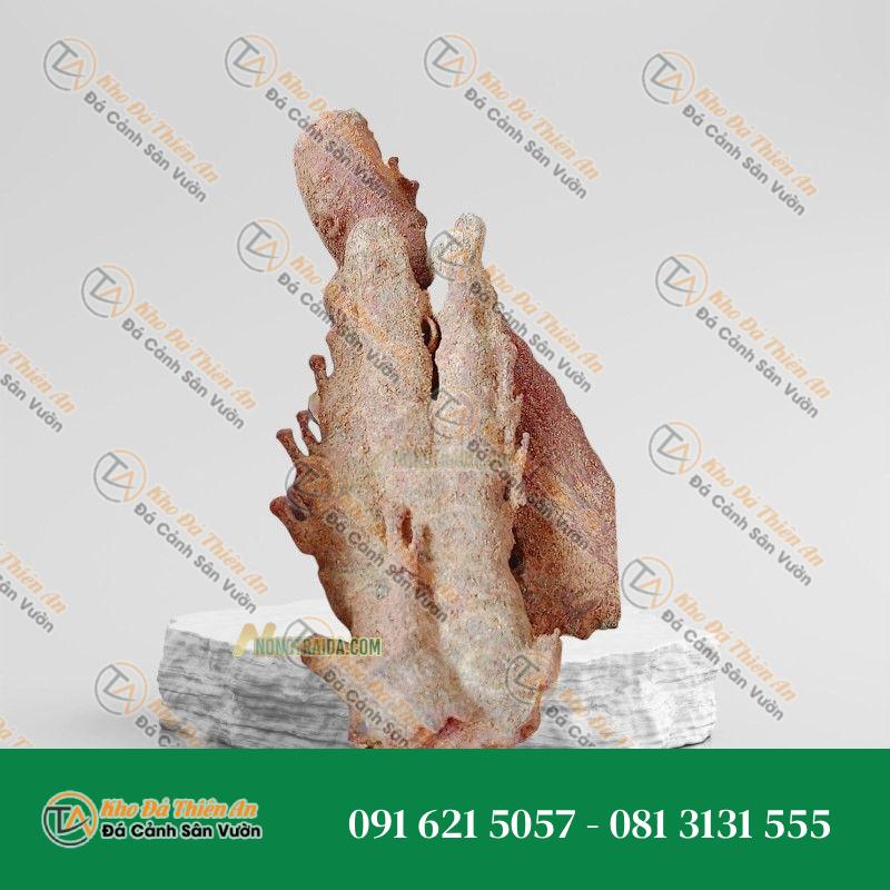 Đá san hô làm đồ trang sức 19x16cm