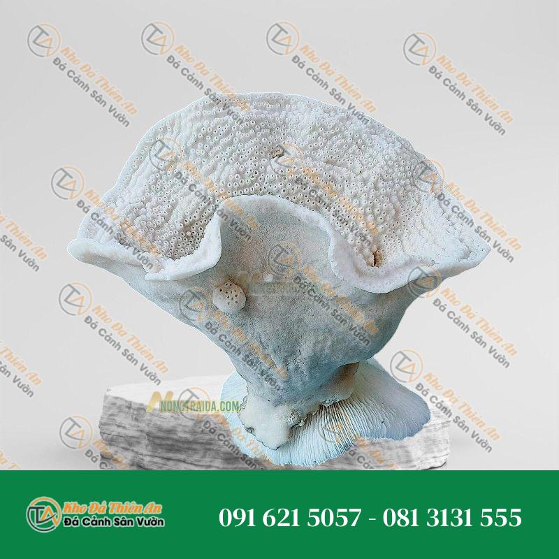 Đá san hô làm đồ trang sức 20x27cm