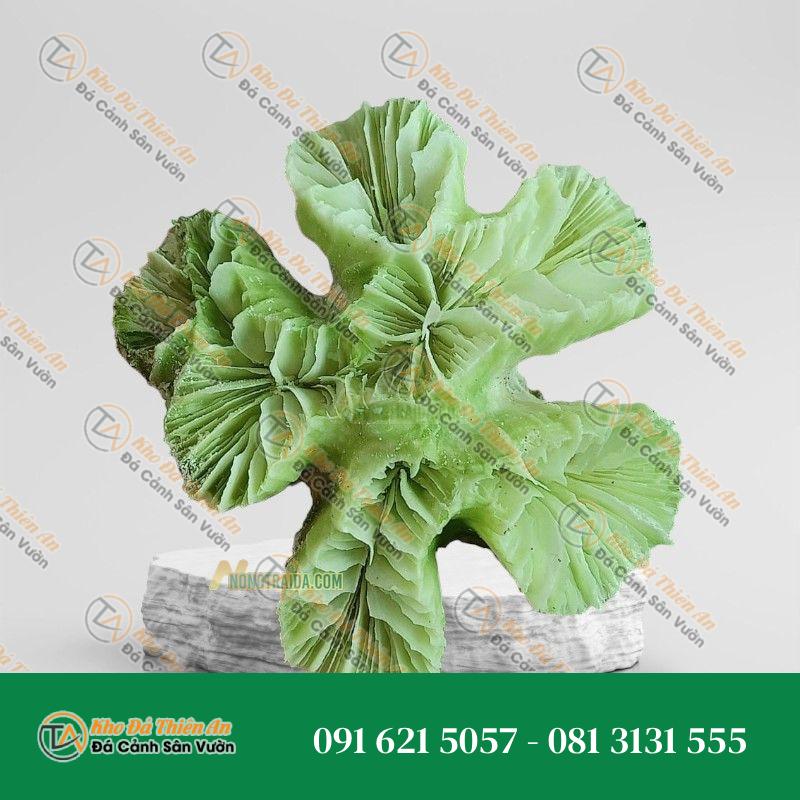 Đá san hô làm đồ trang sức 23x23cm