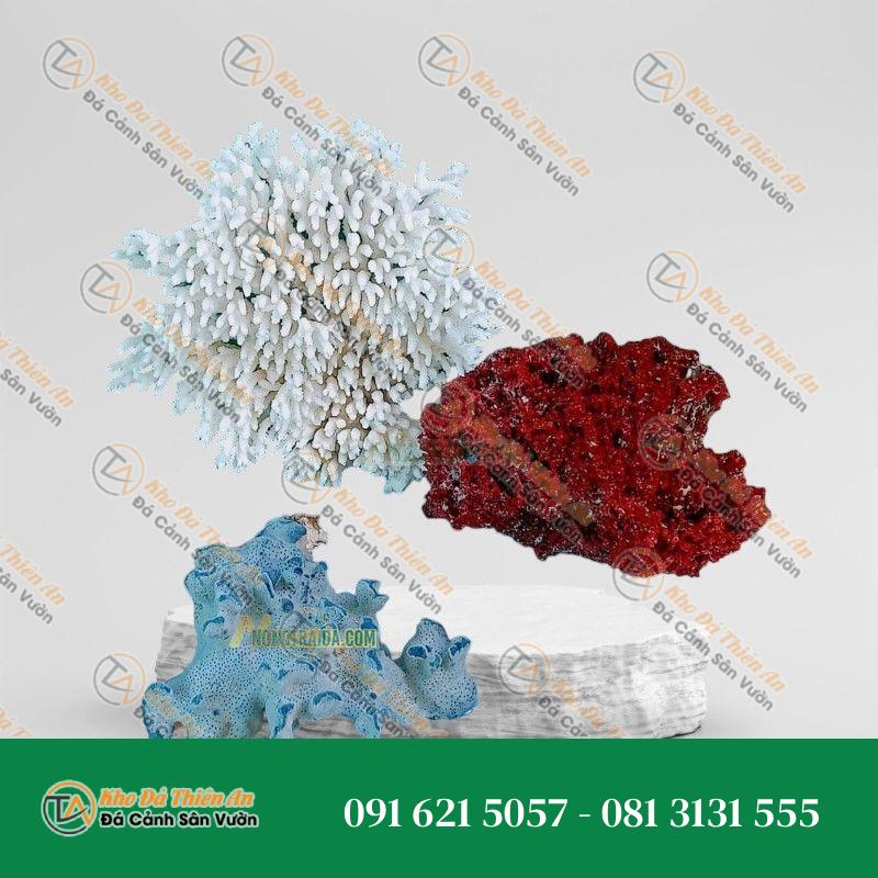 Đá san hô làm đồ trang sức 23x27cm