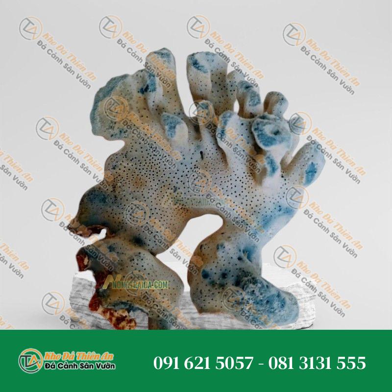 Đá san hô trang trí sân vườn 22x21cm