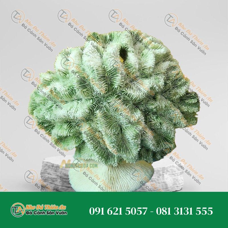 Đá san hô trang trí sân vườn 27x21cm