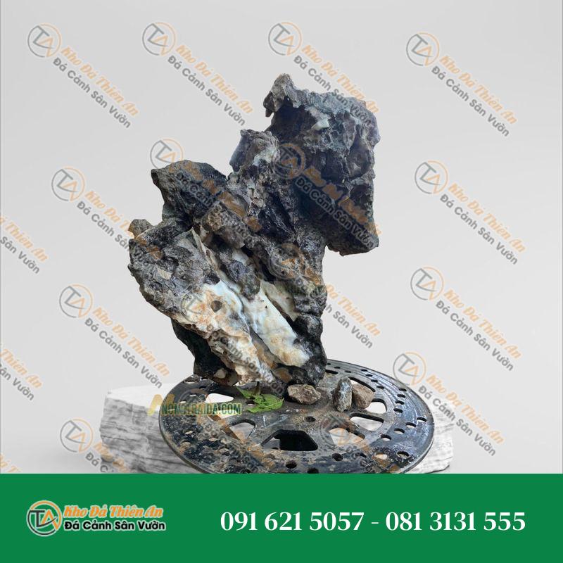Đá tai mèo đặt vườn 64cm