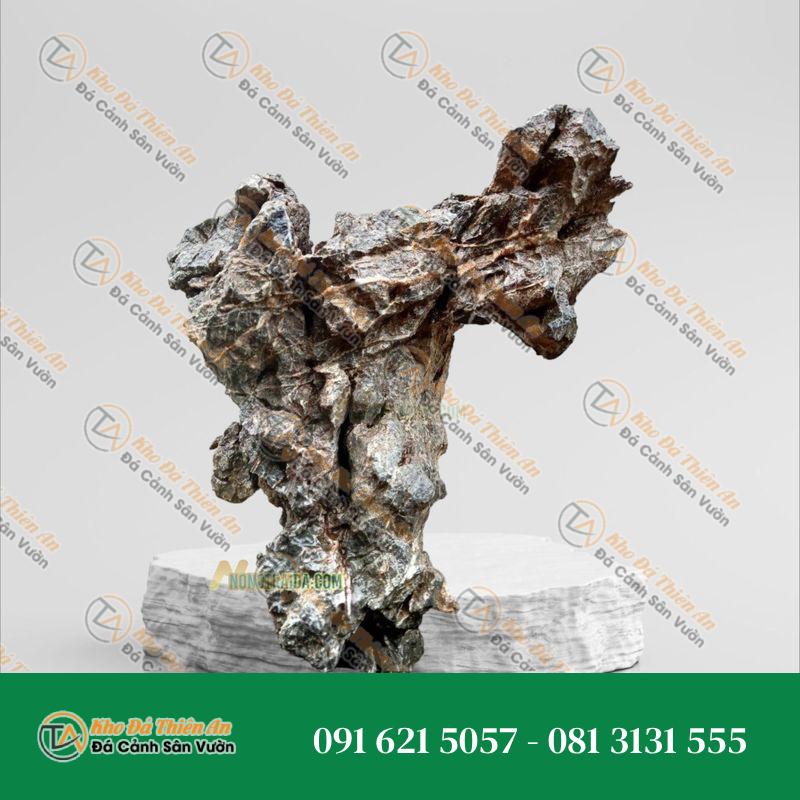 Đá tai mèo thuỷ sinh 14cm