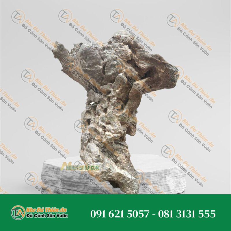 Đá tai mèo thuỷ sinh 53cm