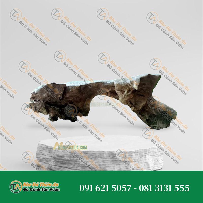 Đá tai mèo thuỷ sinh 57cm