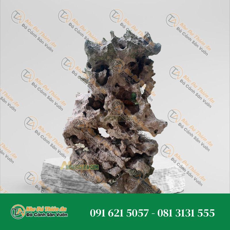 Đá tai mèo thuỷ sinh 62cm