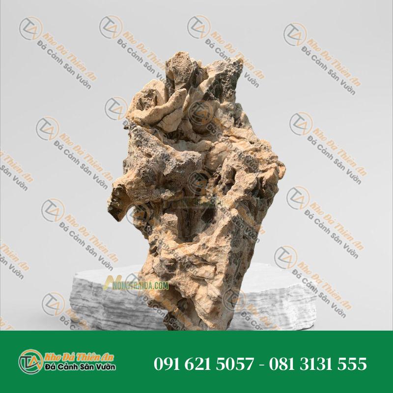 Đá tai mèo trồng bonsai 17cm
