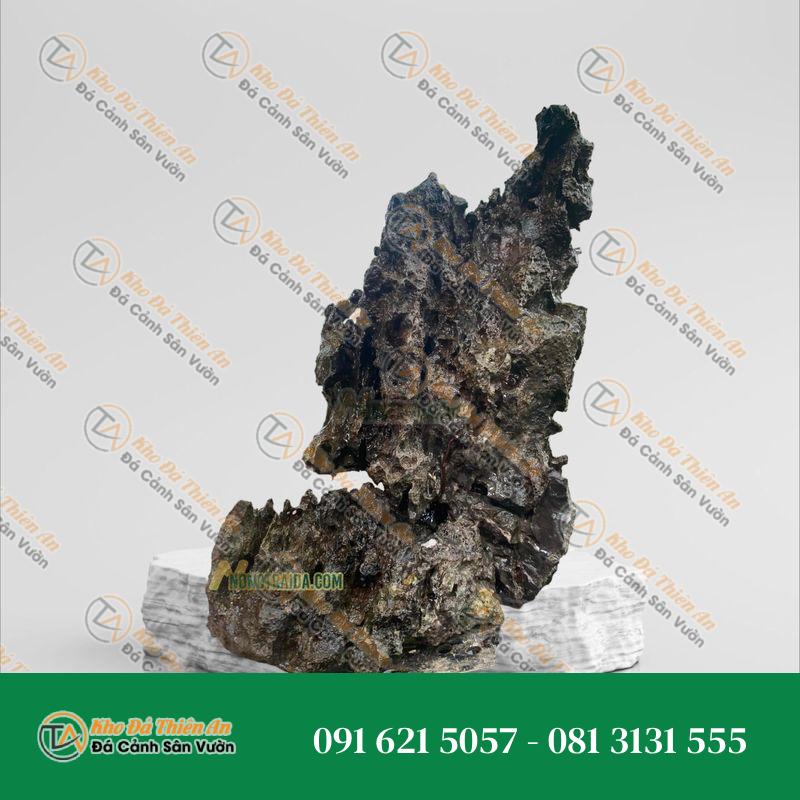 Đá tai mèo trồng bonsai 36cm