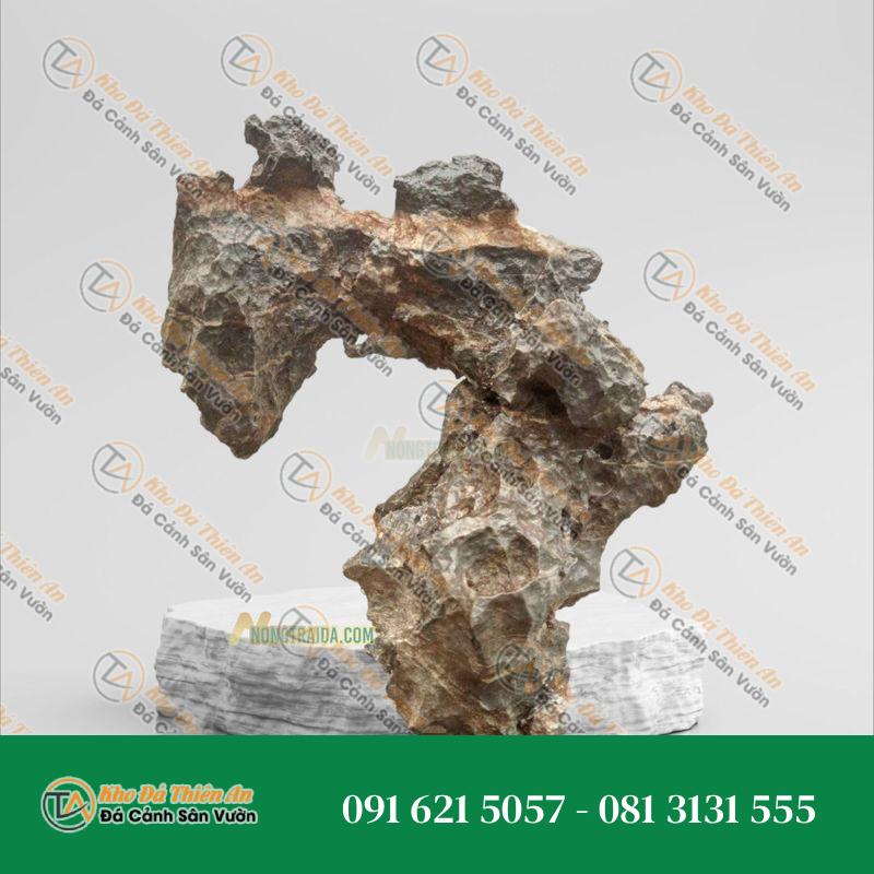 Đá tai mèo trồng bonsai 38cm