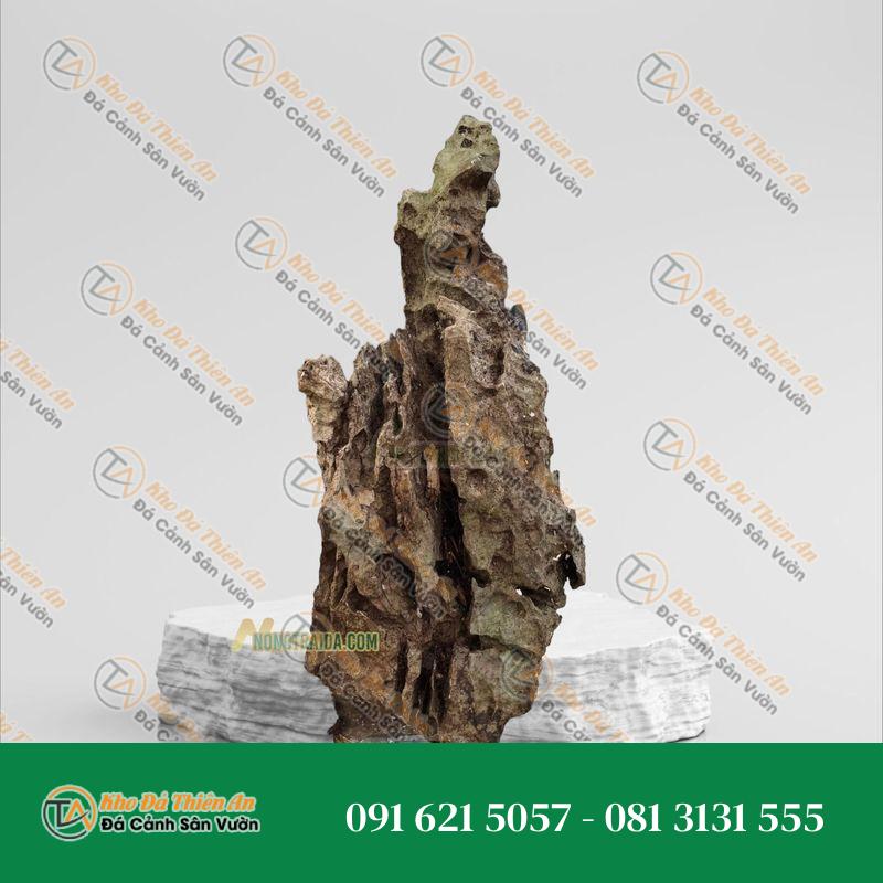 Đá tai mèo trồng bonsai 40cm