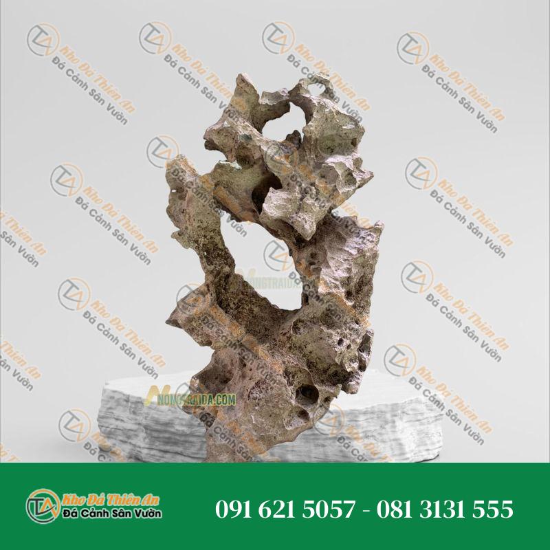 Đá tai mèo trồng bonsai 44cm