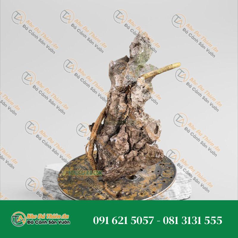 Đá tai mèo trồng bonsai 47cm