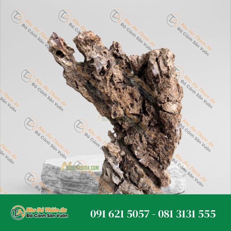 Đá tai mèo trồng bonsai 78cm