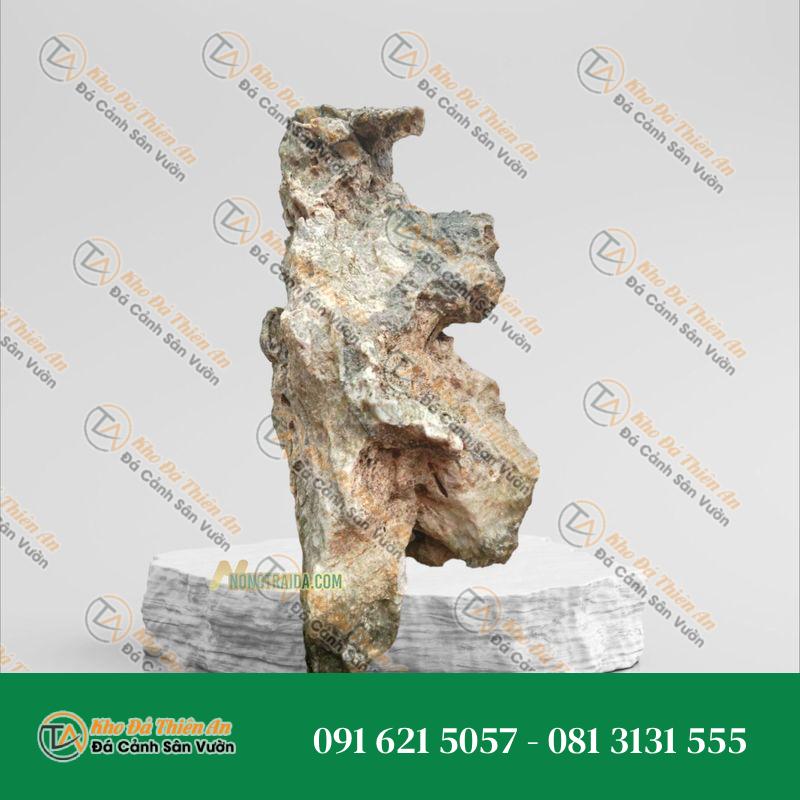 Đá tai mèo trồng bonsai 83cm