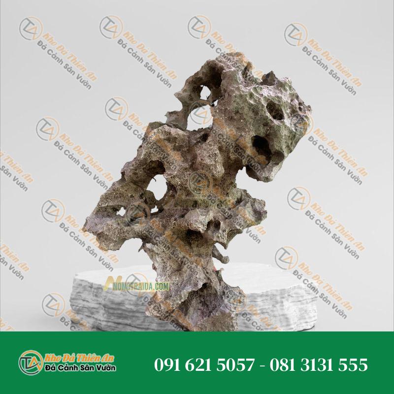 Đá tai mèo trồng cây cảnh 15cm