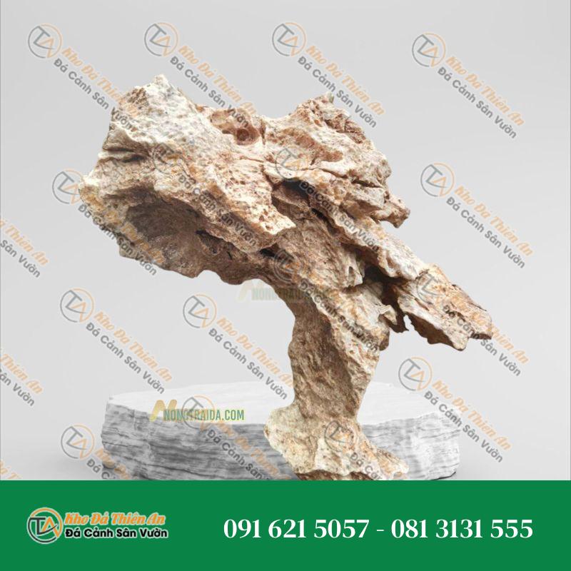 Đá tai mèo trồng cây cảnh 56cm