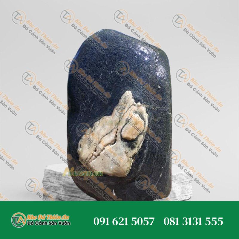 Đá trầm tích bo hồ cá 25x55cm