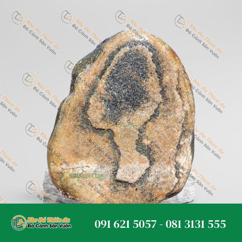 Đá trầm tích bo hồ cá 29x48cm