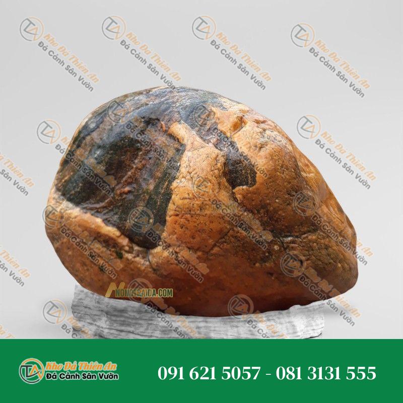 Đá trầm tích bo hồ cá 30x58cm
