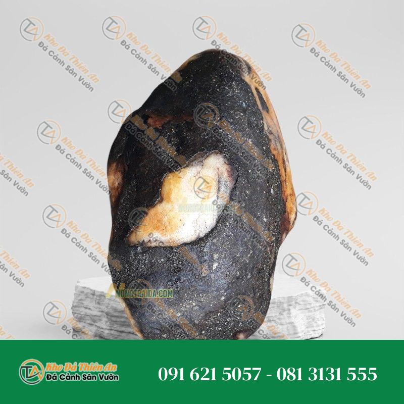 Đá trầm tích dựng hồ cá koi 28x43cm