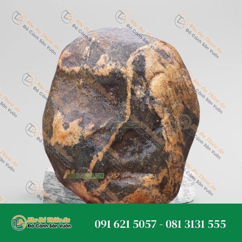 Đá trầm tích kè hồ cá 20x55cm