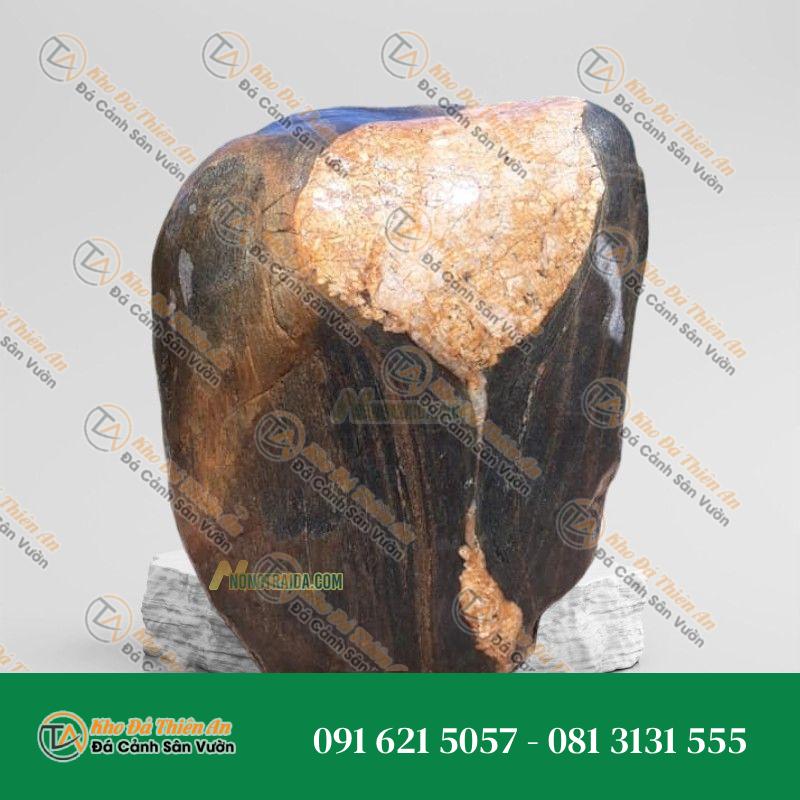 Đá trầm tích kè hồ cá 21x42cm