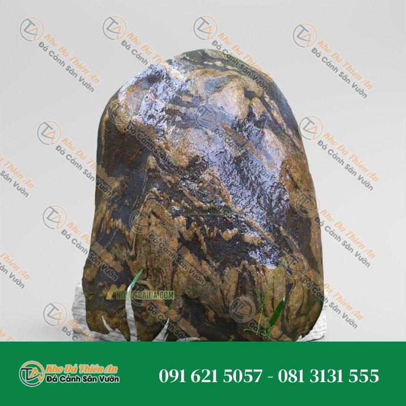 Đá trầm tích kè hồ Koi 23x49cm