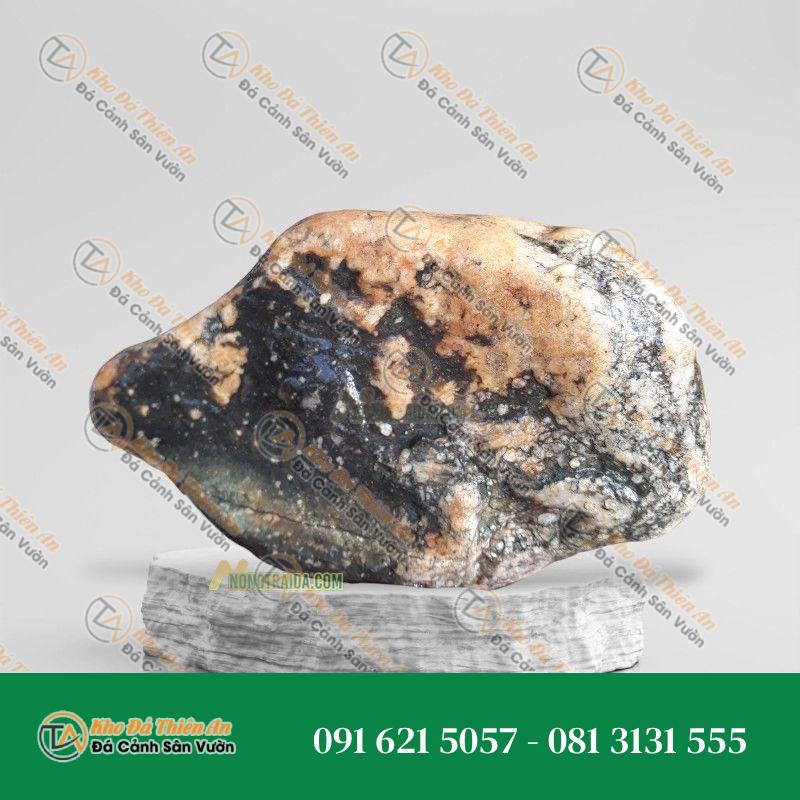 Đá trầm tích kè hồ Koi 26x48cm