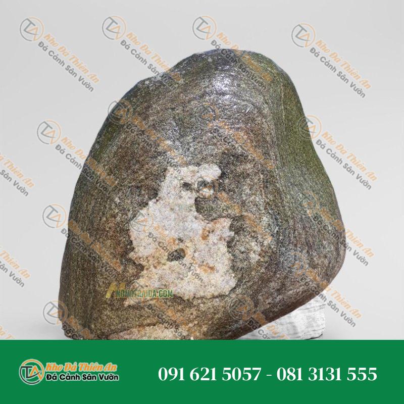 Đá trầm tích kè hồ Koi 27x49cm
