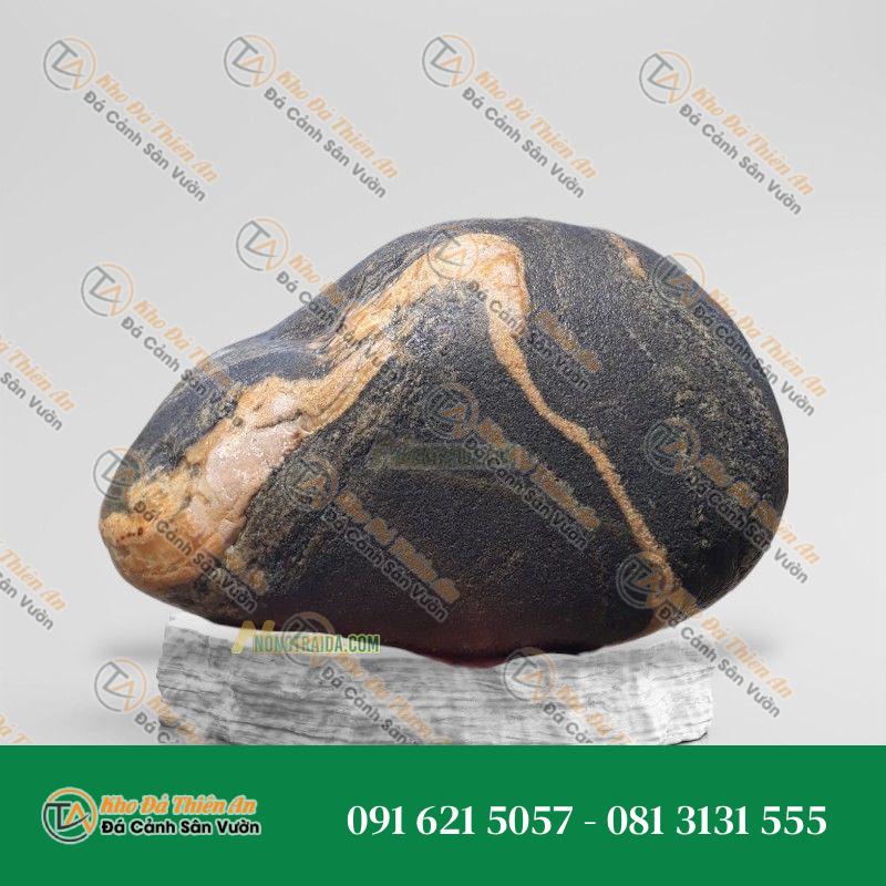 Đá trầm tích kè hồ Koi 28x54cm