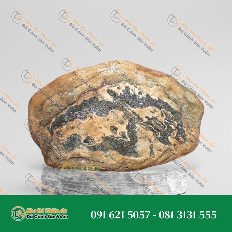 Đá trầm tích kè hồ Koi 30x44cm