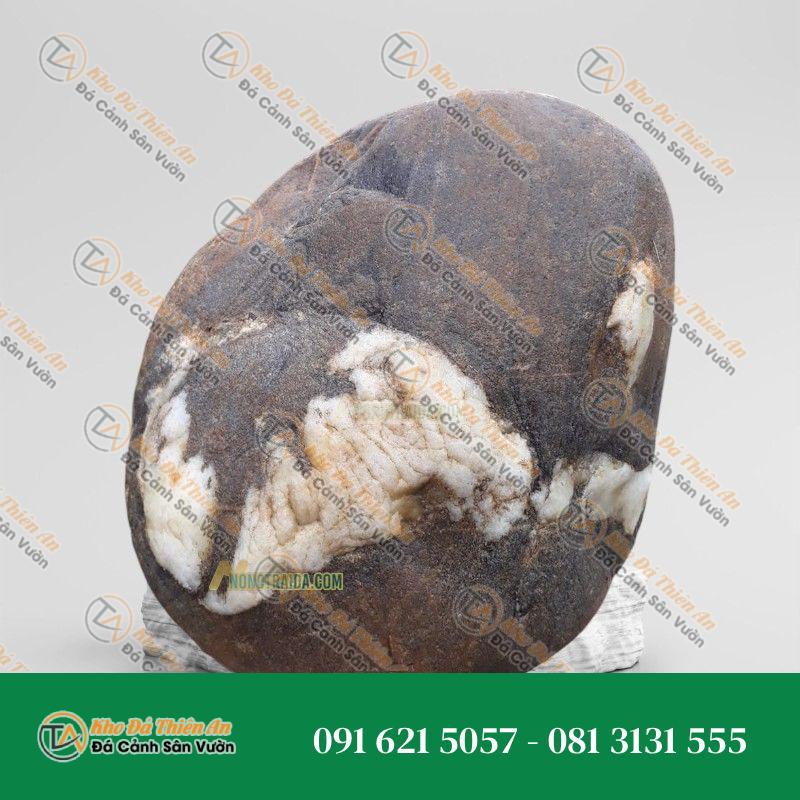 Đá trầm tích thi công hồ cá 23x45cm