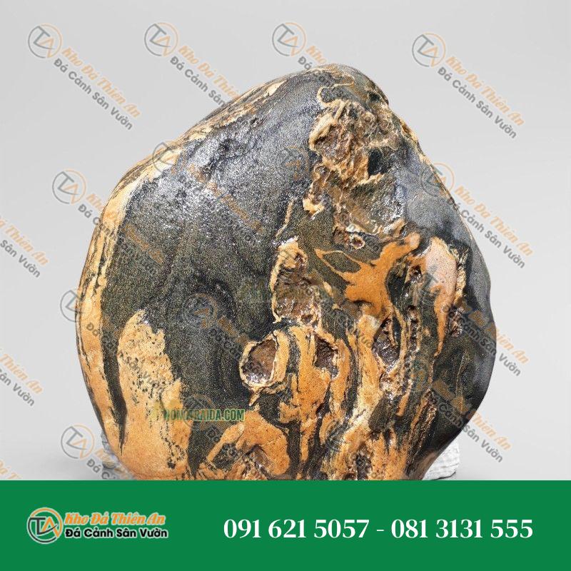 Đá trầm tích thi công hồ cá 24x54cm