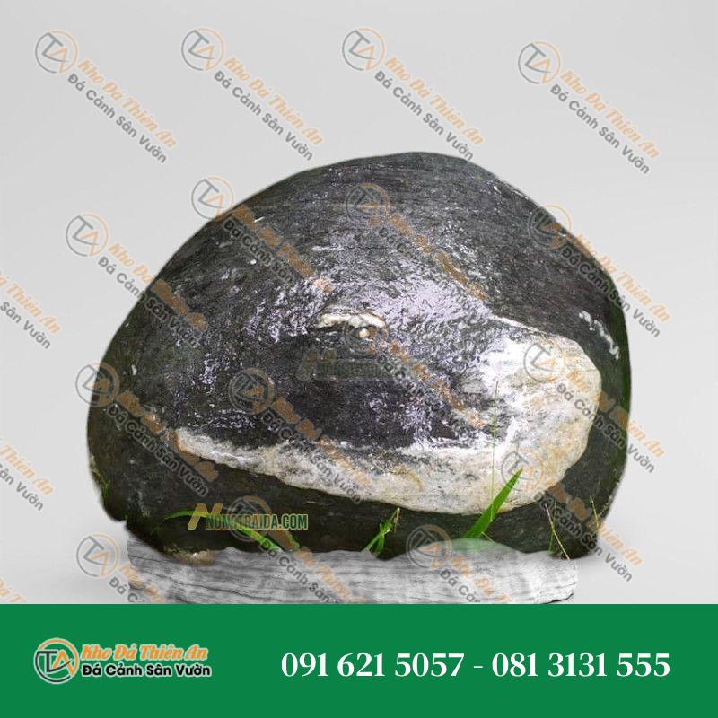 Đá trầm tích trang trí hồ cá 30x44cm