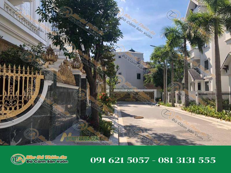Đá xanh cốm tia chớp ốp mặt tiền biệt thự